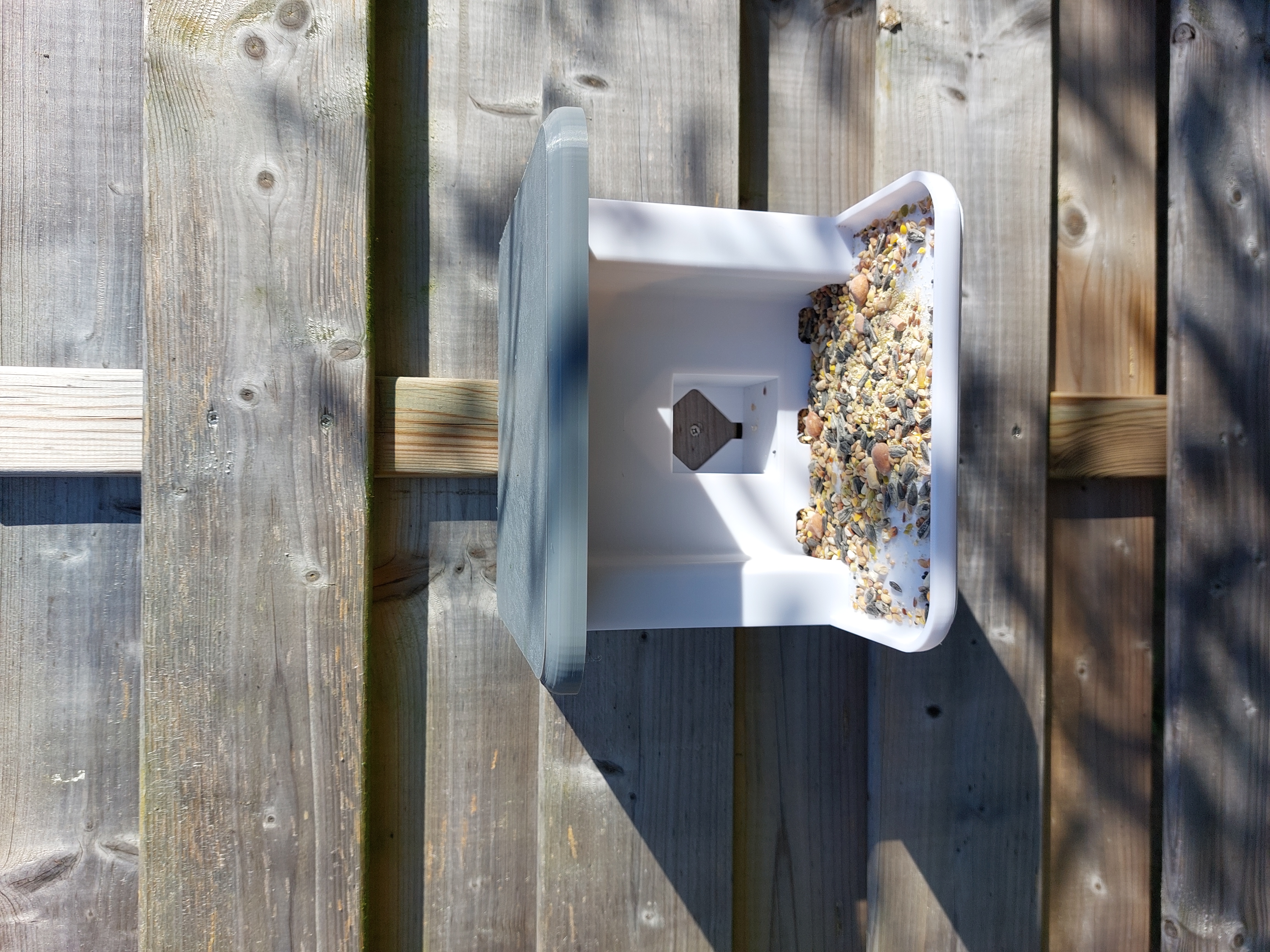 Bird feeder camera (Wyze, Blink)