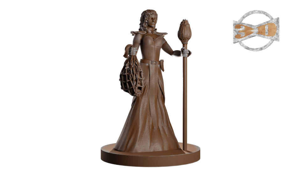 Half Elf Female Sorceress wIth a severed Orc Head