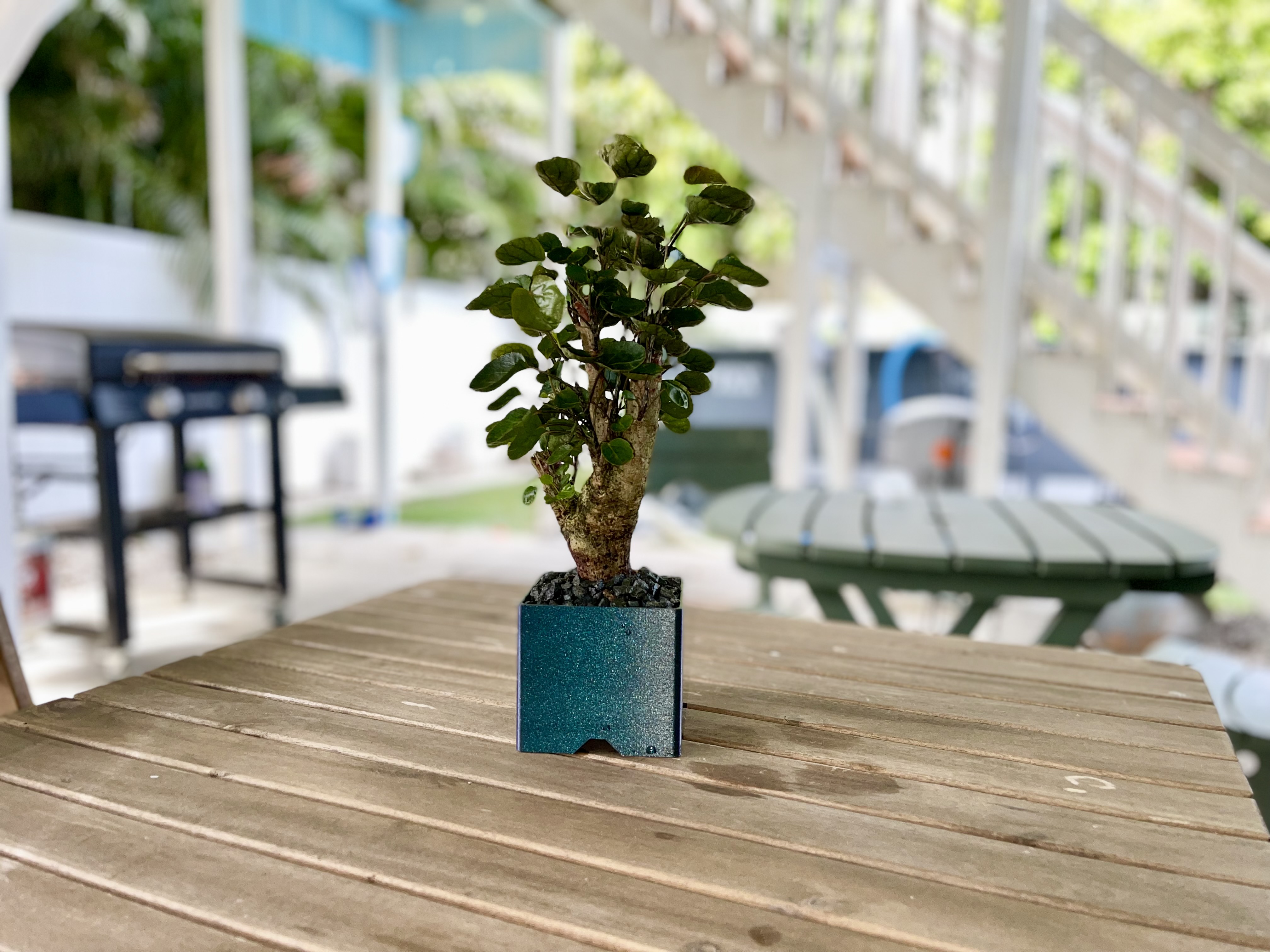 3D Printed Bonsai Pot 10x10x8 cm with Guiding Wires