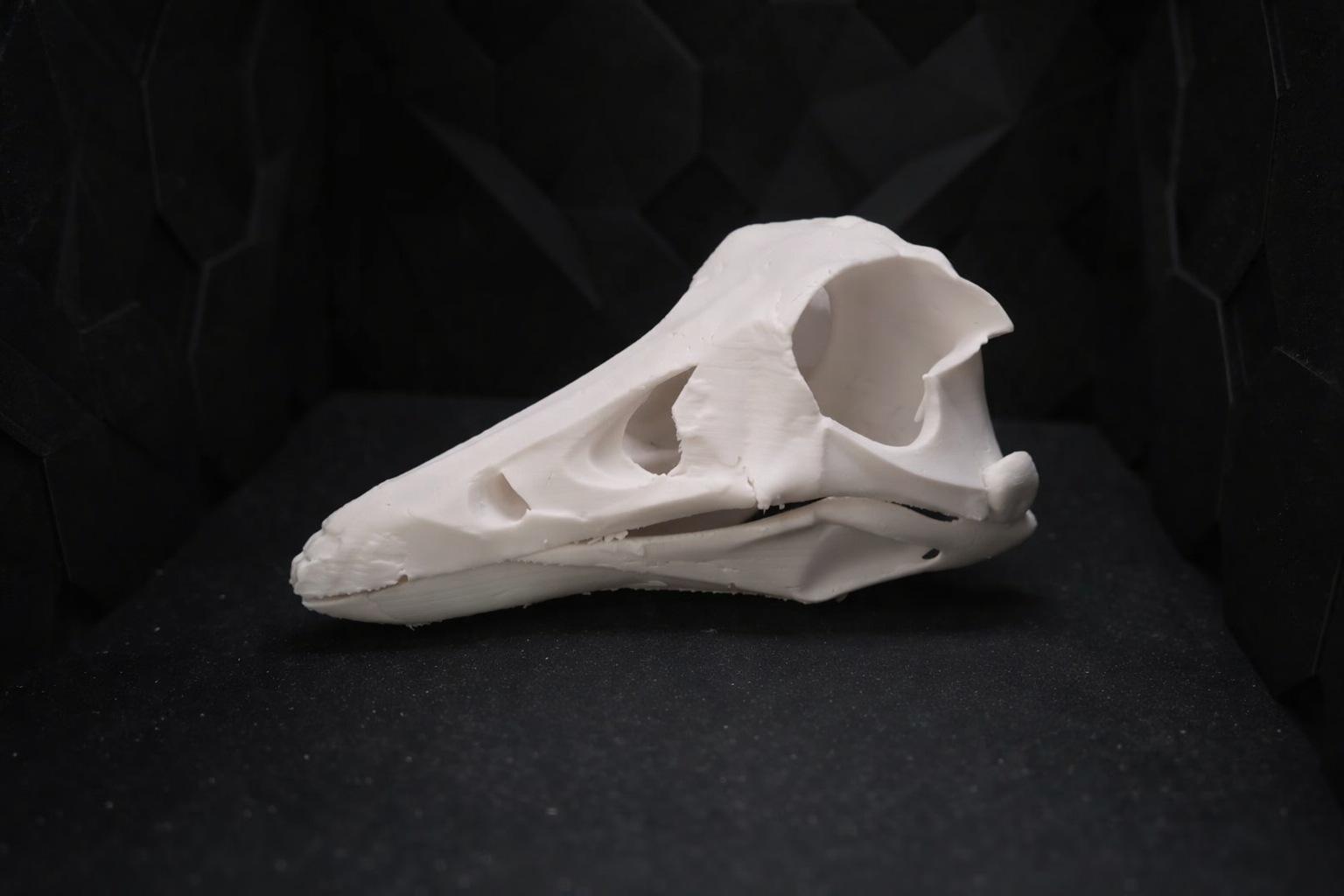 Moderner Schädel – Stylisches Skelett Deko Modell 3D model