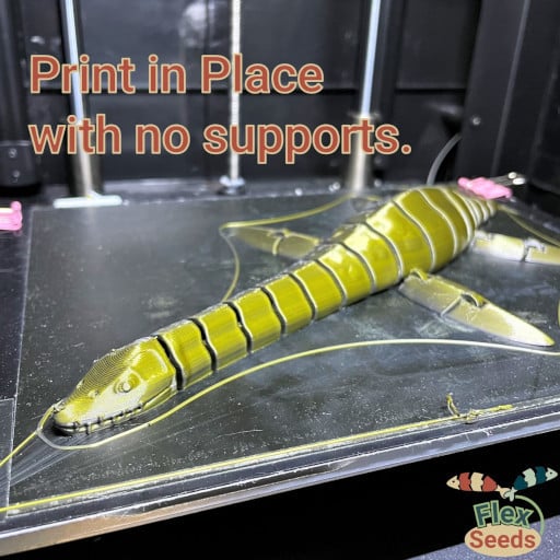 Flexi Plesiosaurus(print-in-placeiosaurus) — miniatura 7