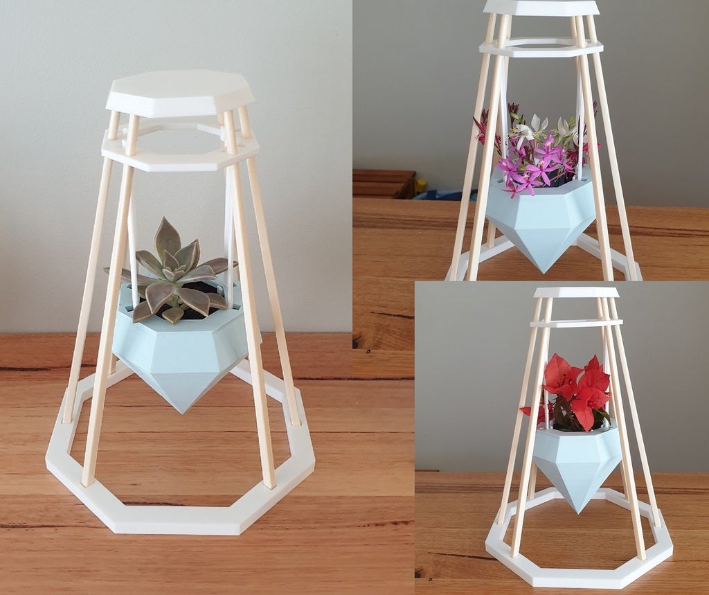 Chopstick plant or flower stand
