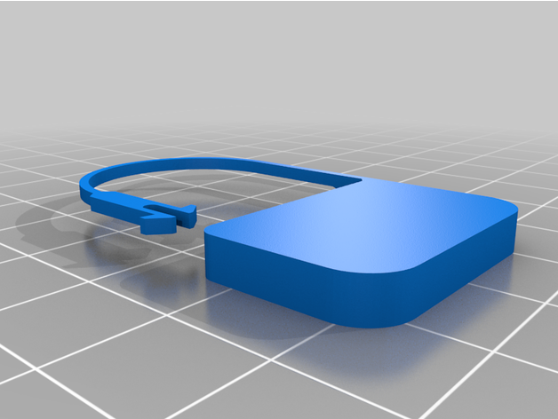 Disposable Plastic Lock (*NOT MINE*)