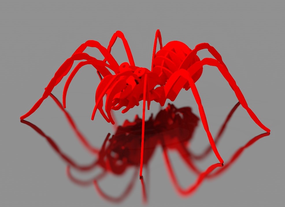Puzzle SPIDER