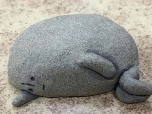Sad Pet Rock Meme