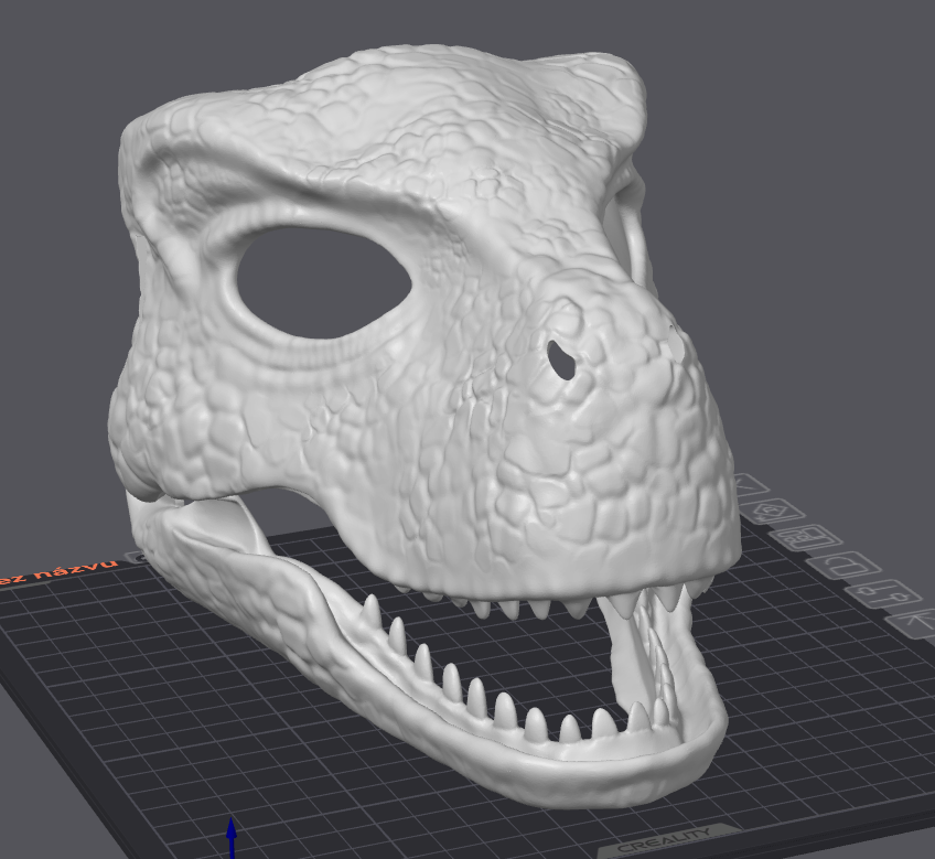 Dragon Raptor Mask
