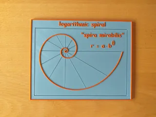 Logarithmic spiral / Espiral logarítmica