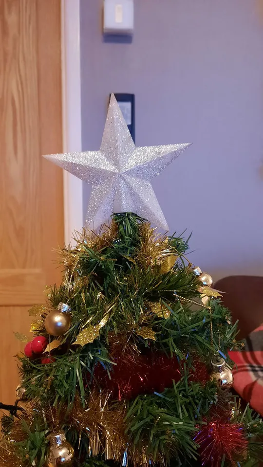 Mini Star Christmas Tree Topper by Cargy Download free STL model Printables