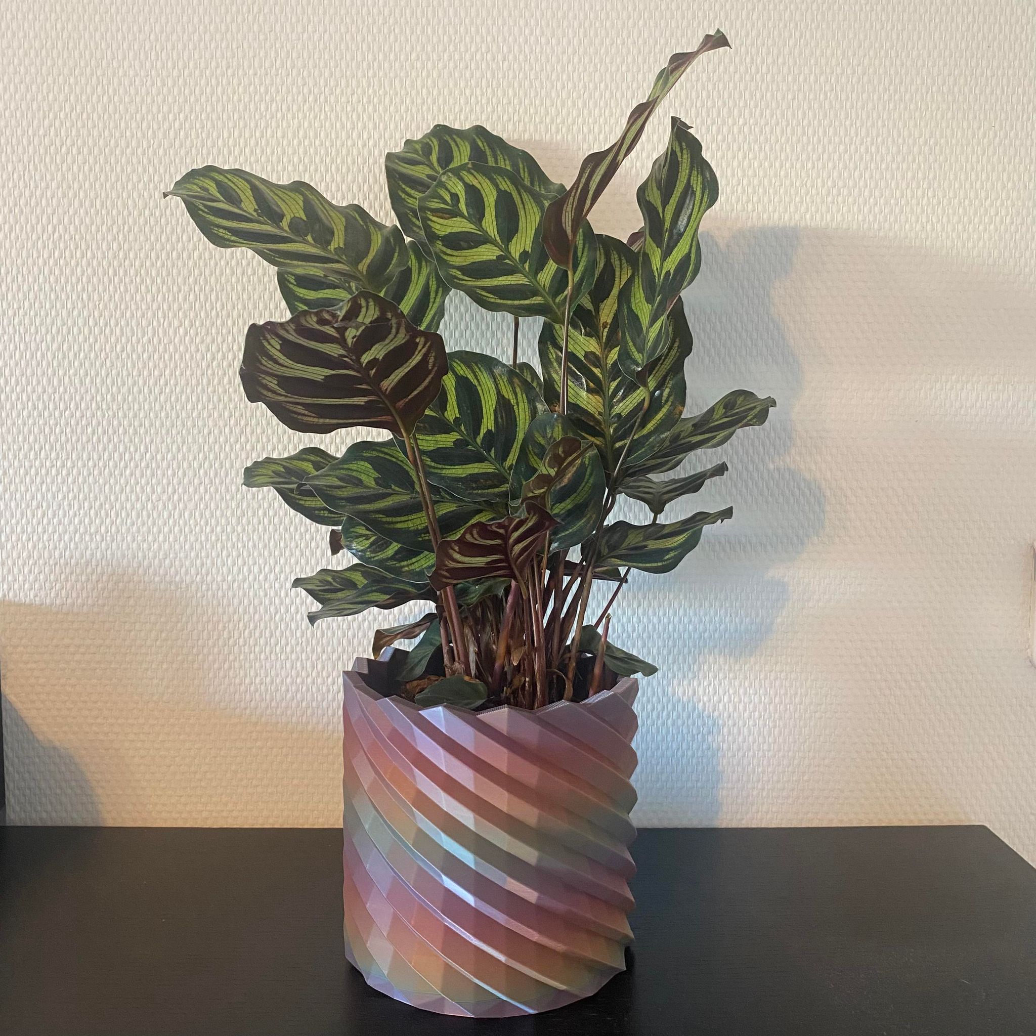 Plant pot