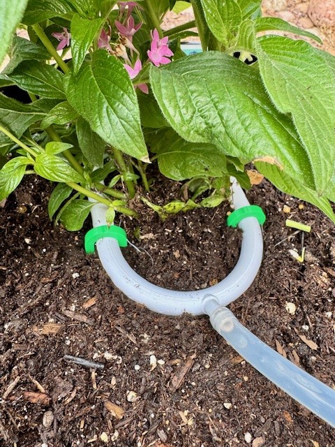 U-Shaped Irrigation Emitter for Potted/Containerized Plants