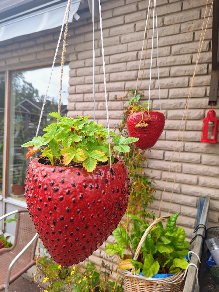 indoor plant watering devices Self-Watering Anchor Set – Stabilize Moss Poles with Integrated Pot and  Pole System main image 0