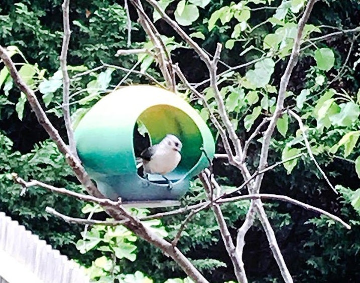 Miniatura 2 do modelo 3D Bird Feeder