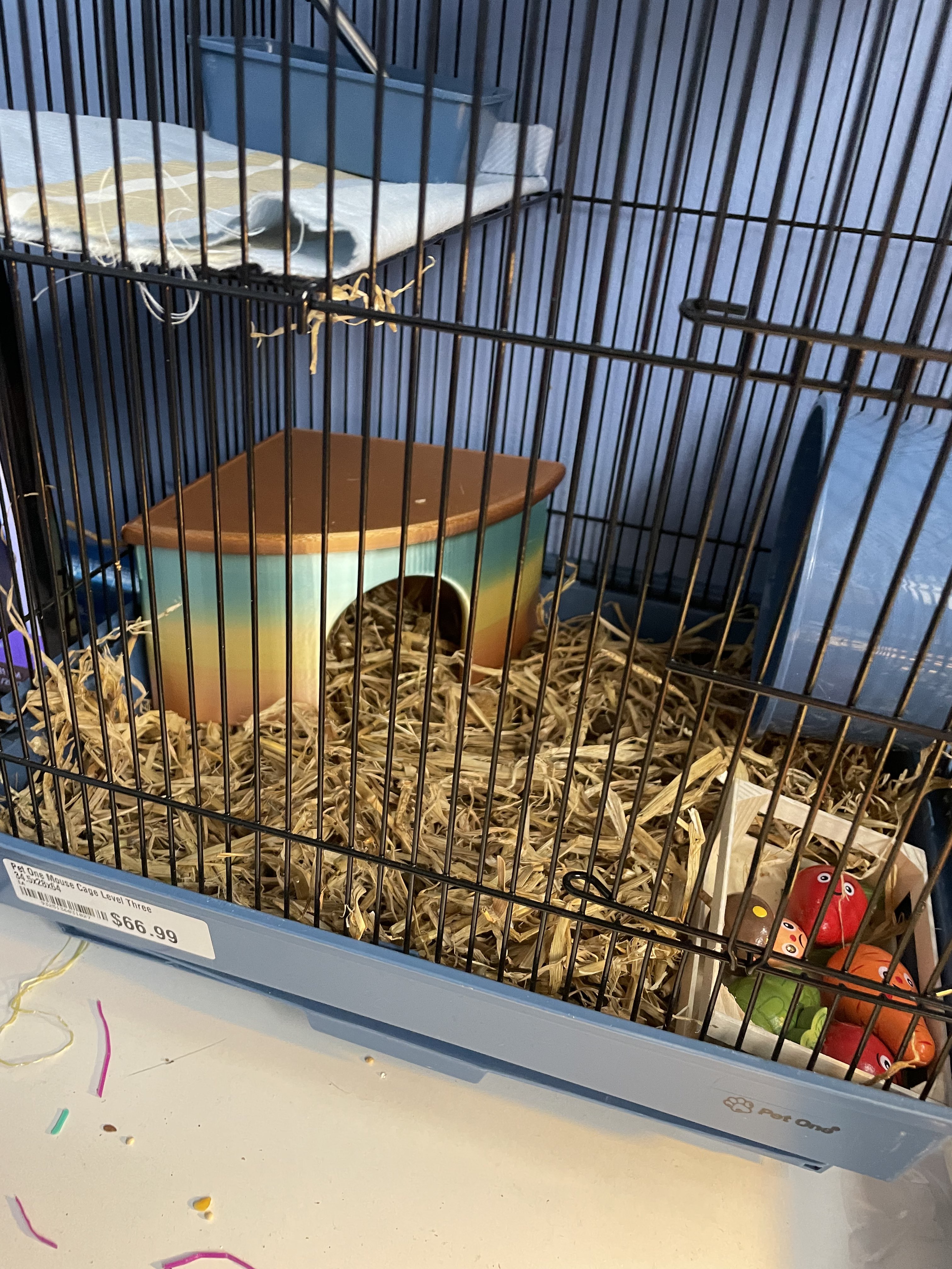 Small Animal House (Rats/Hamster/Mice)