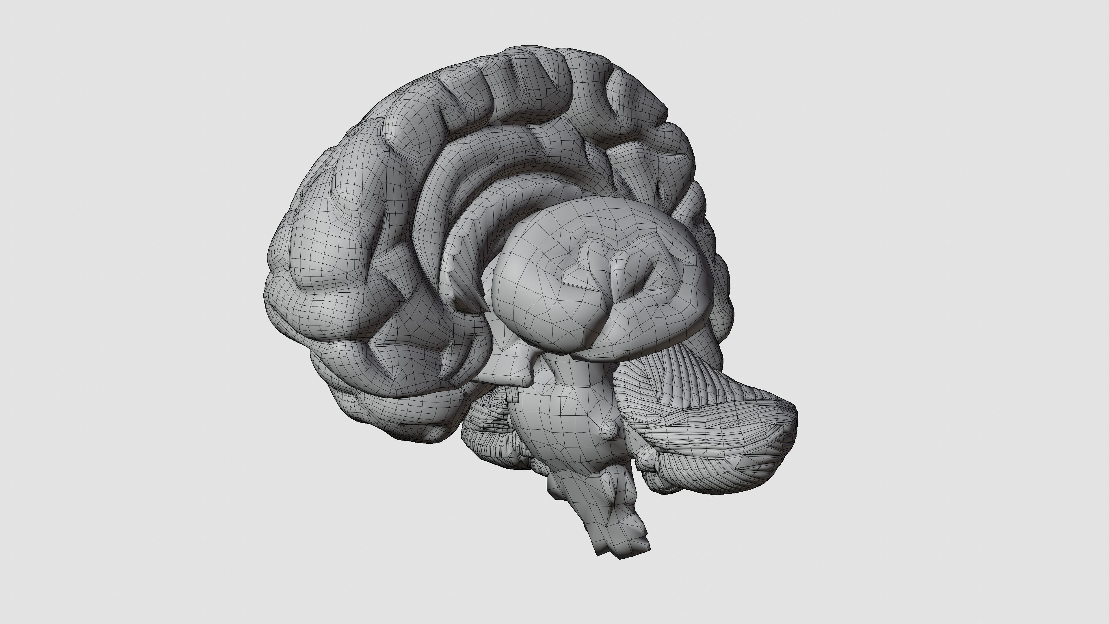 Miniatura 3 do modelo 3D Human Brain