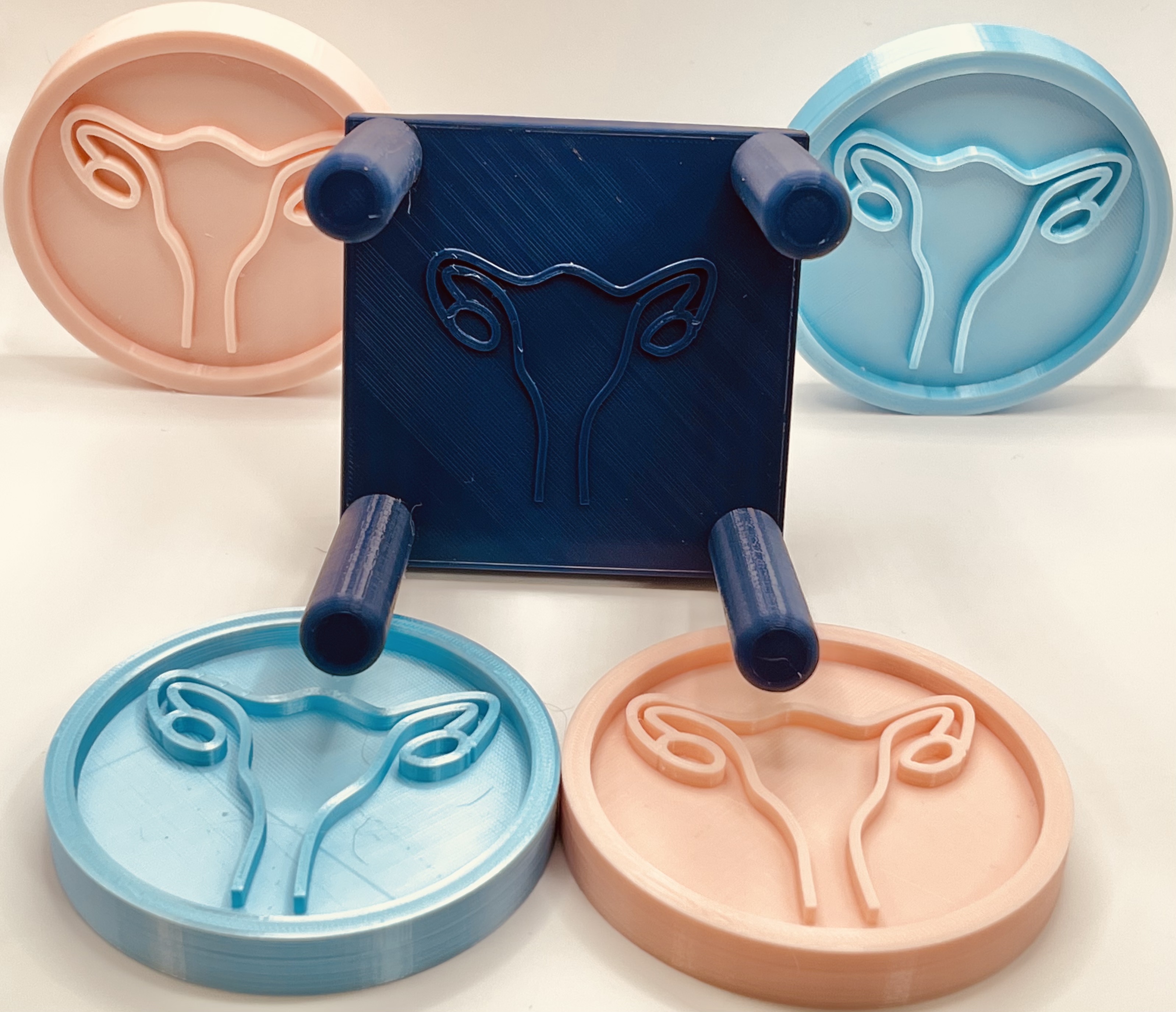 Uterus Coaster and Holder