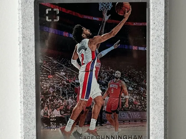 Magnetic wall display for trading card tcg/sports