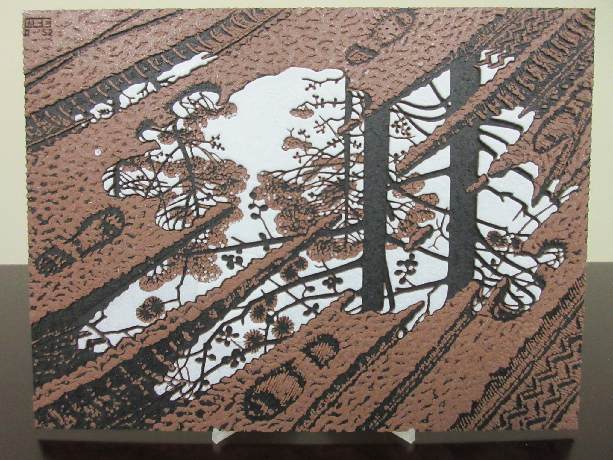 The Puddle by MC Escher - HueForge