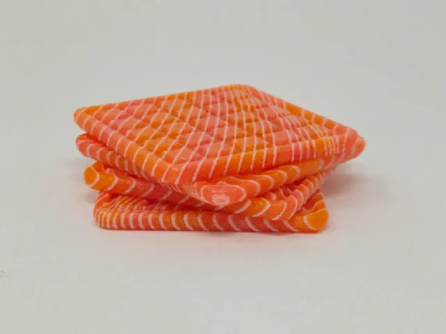 Fillet'O'Fish Sashimi Sushi Salmon Coasters (FullSpectrum Print)