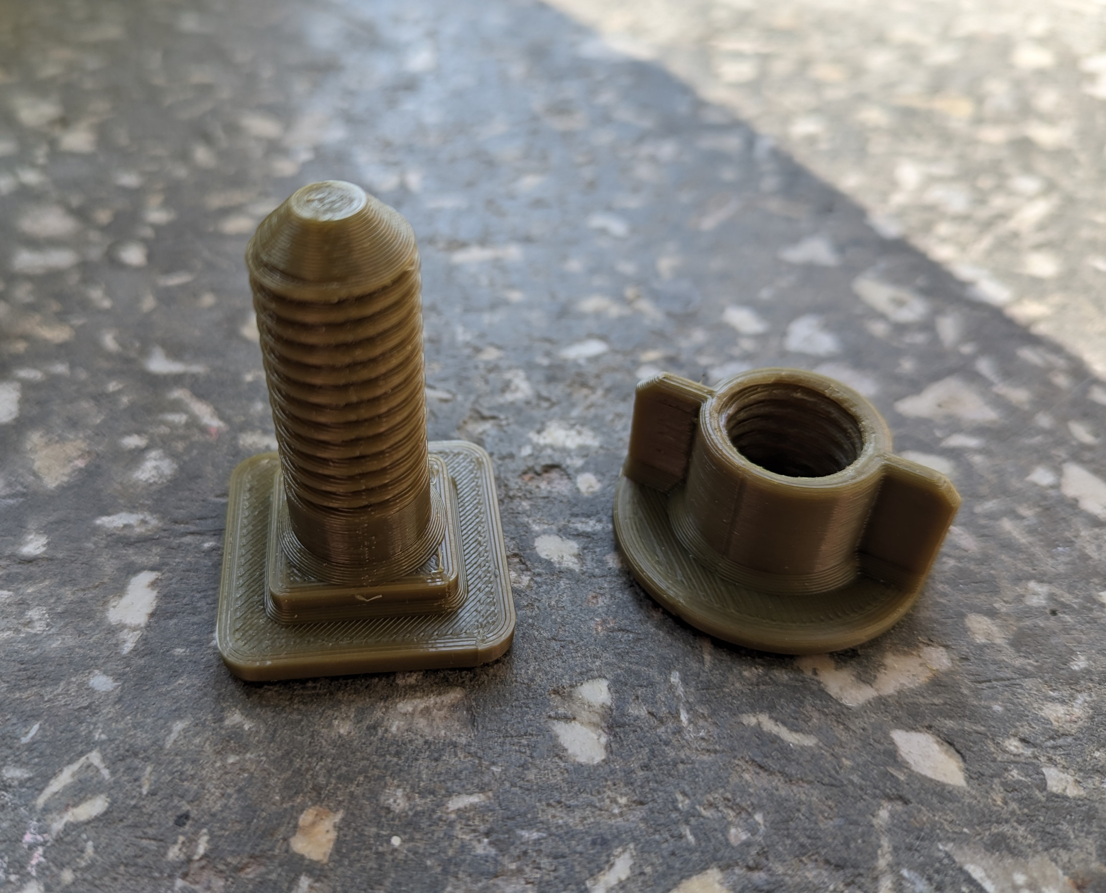 Toilet seat bolt and nut