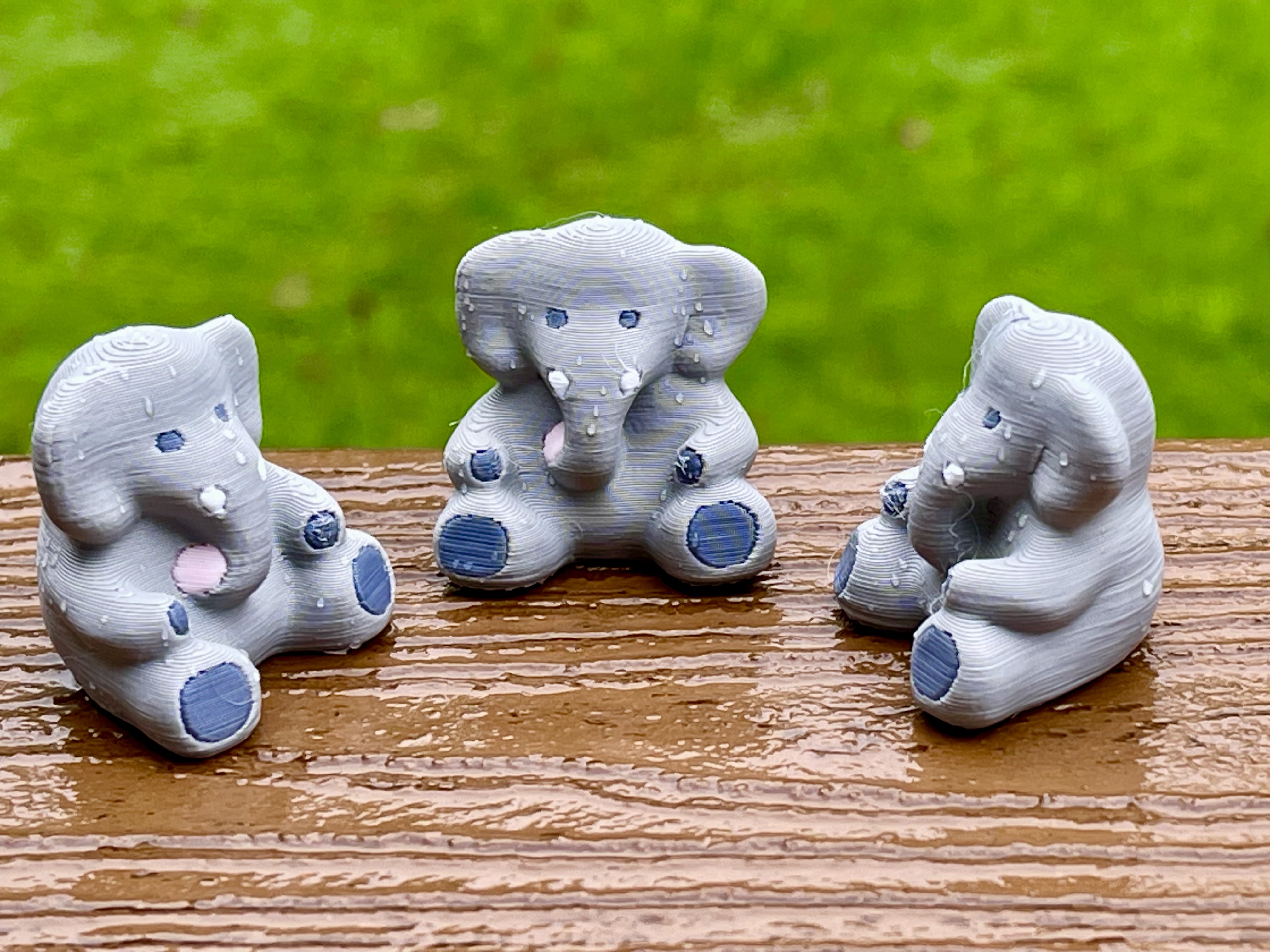 Elephant - MMU