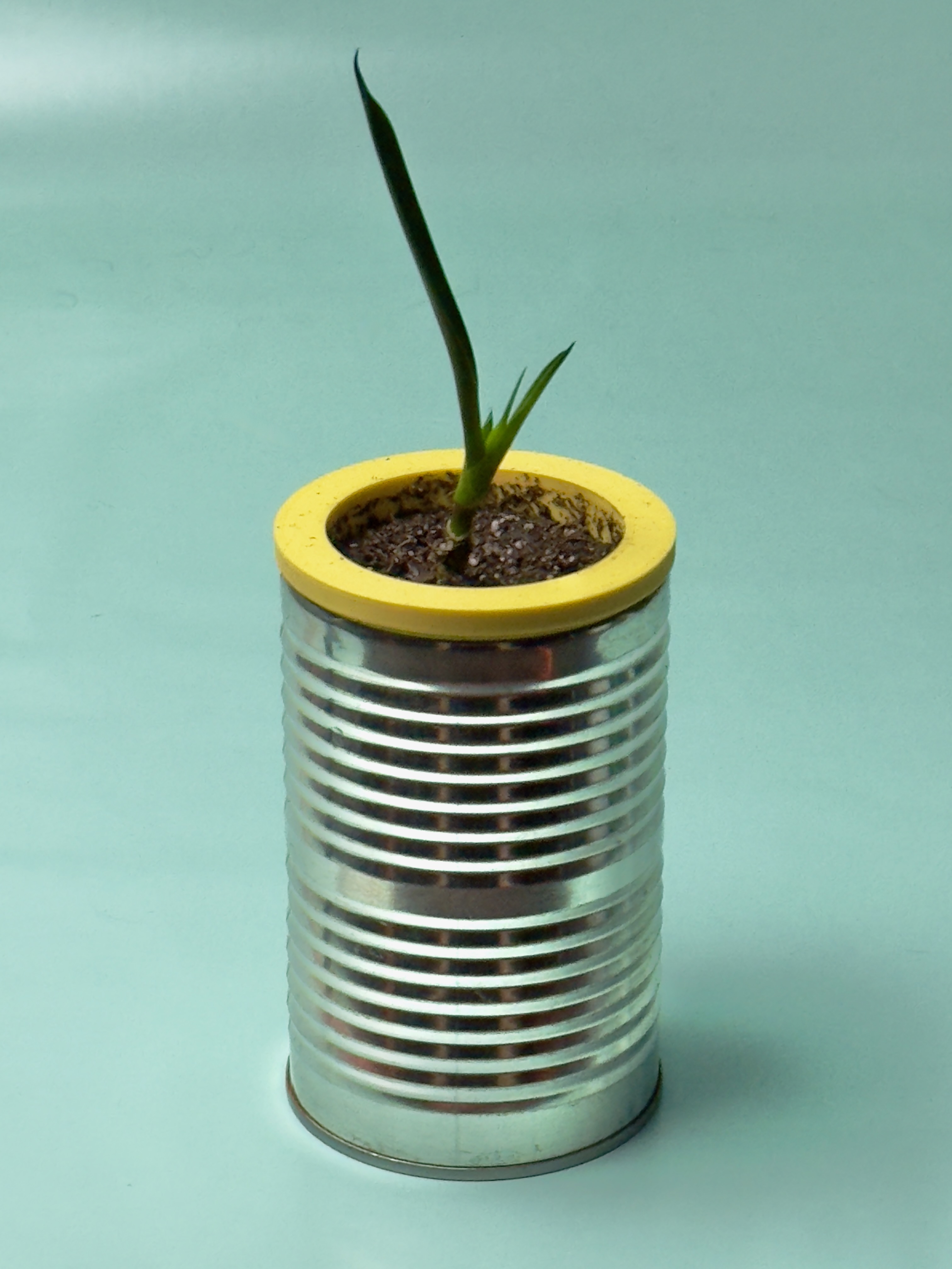 Self Watering Planter Can Insert