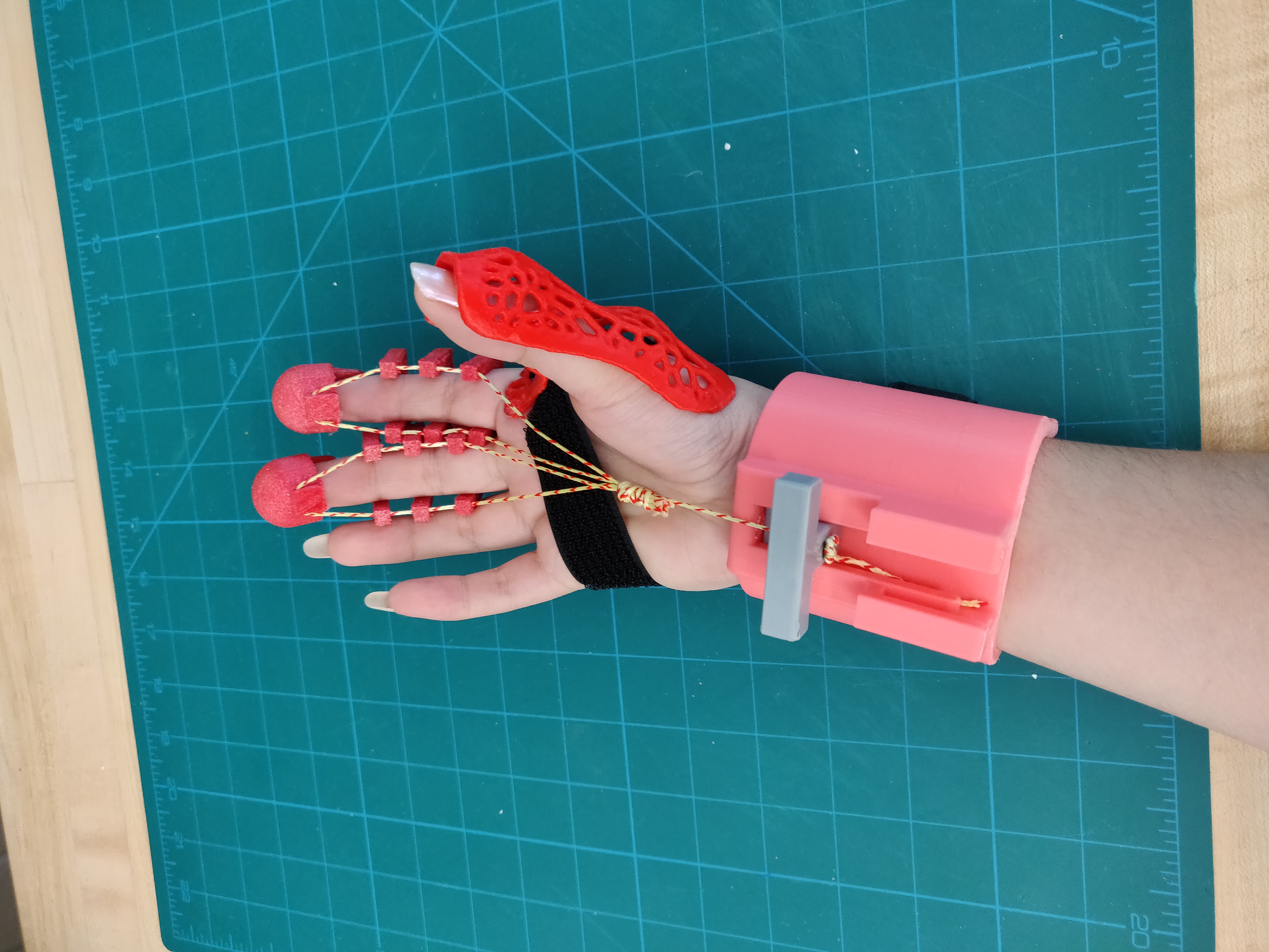 Rehabilitation Glove