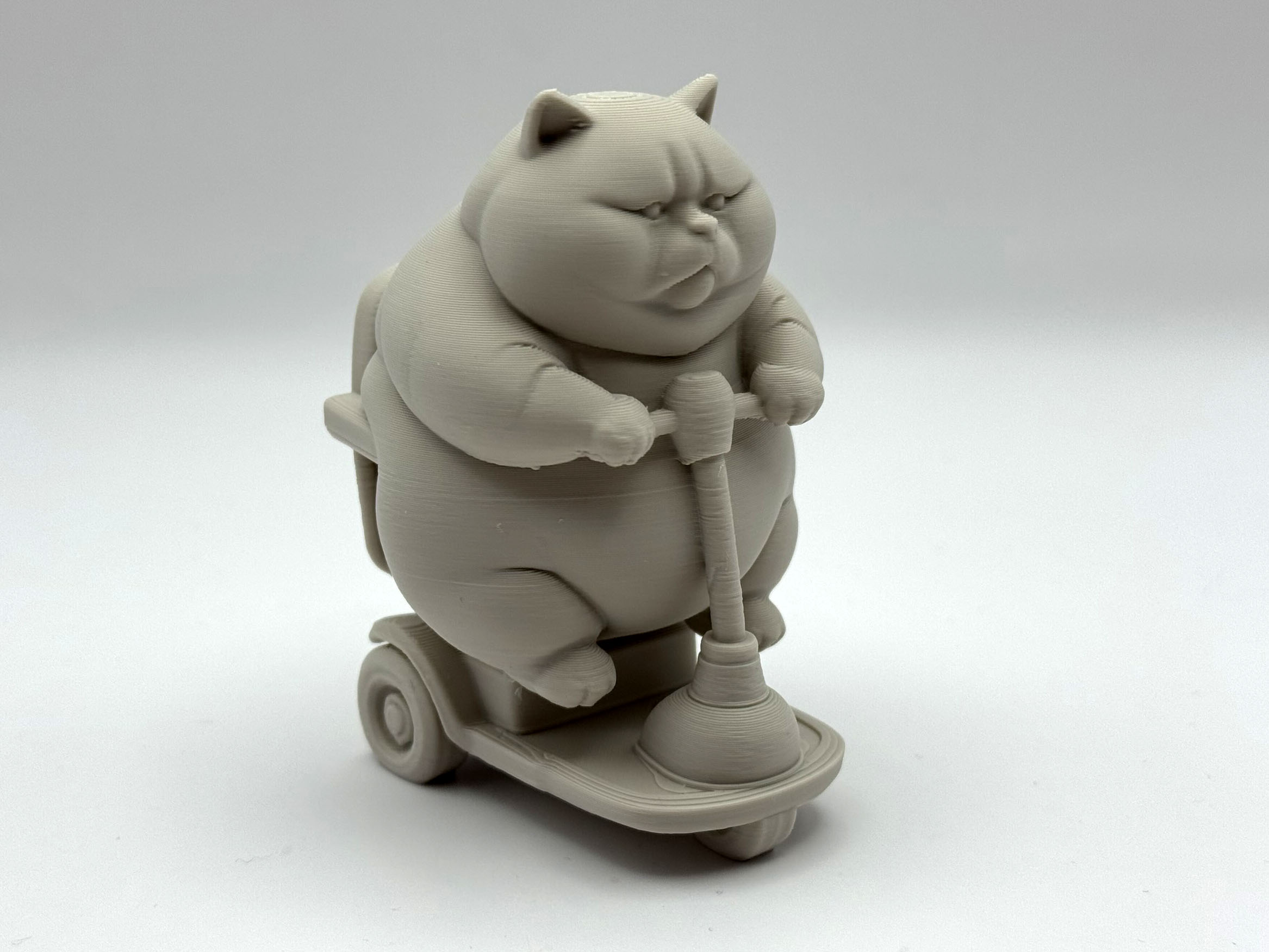 Chonky Cat on a Scooter