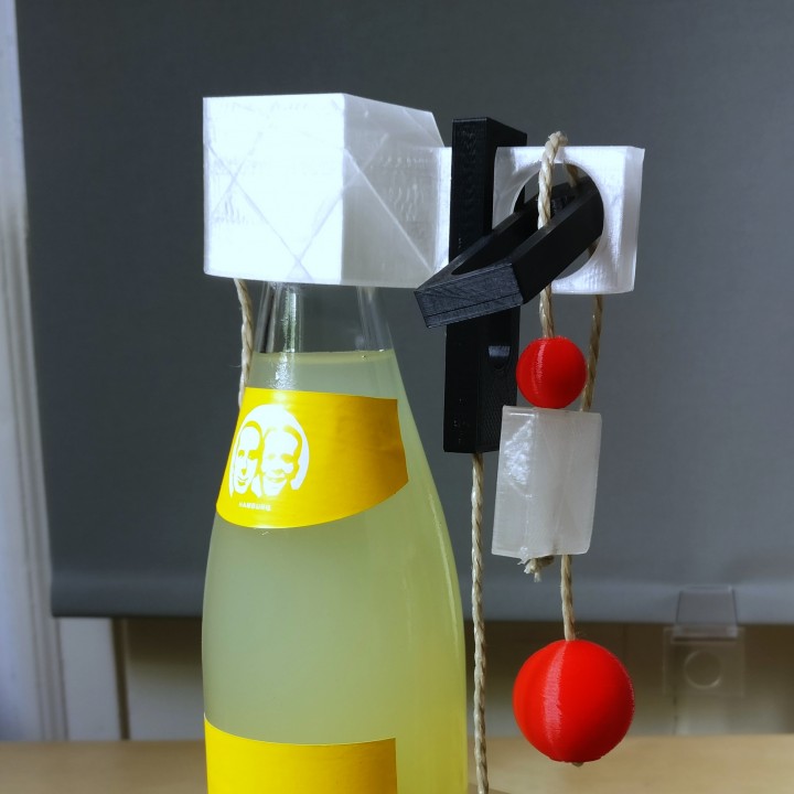 Bottle Puzzle