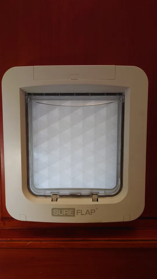 Insulated cat outlet flap