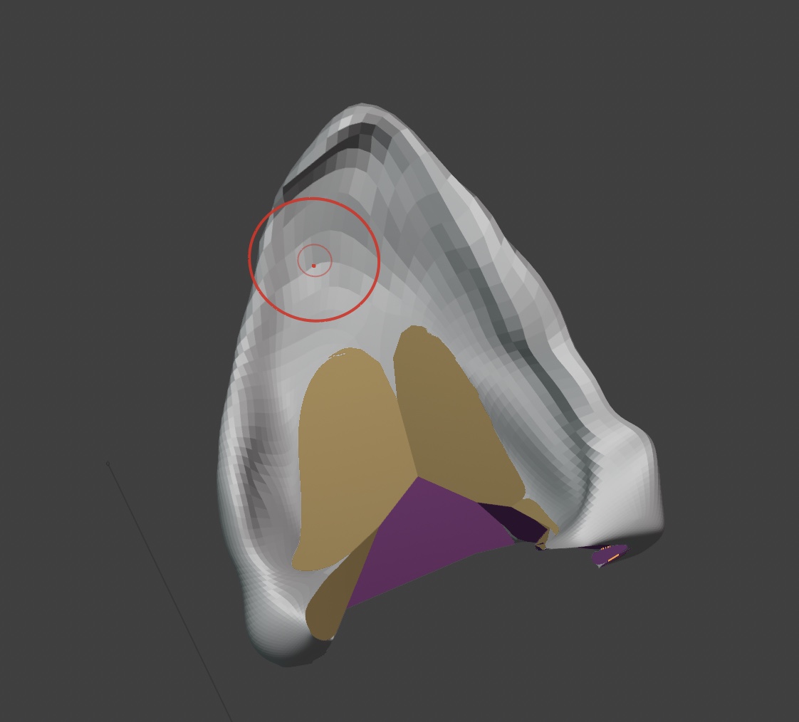 Cat Ear for Cosplay, Modeling, or Sculpture — miniatura 2