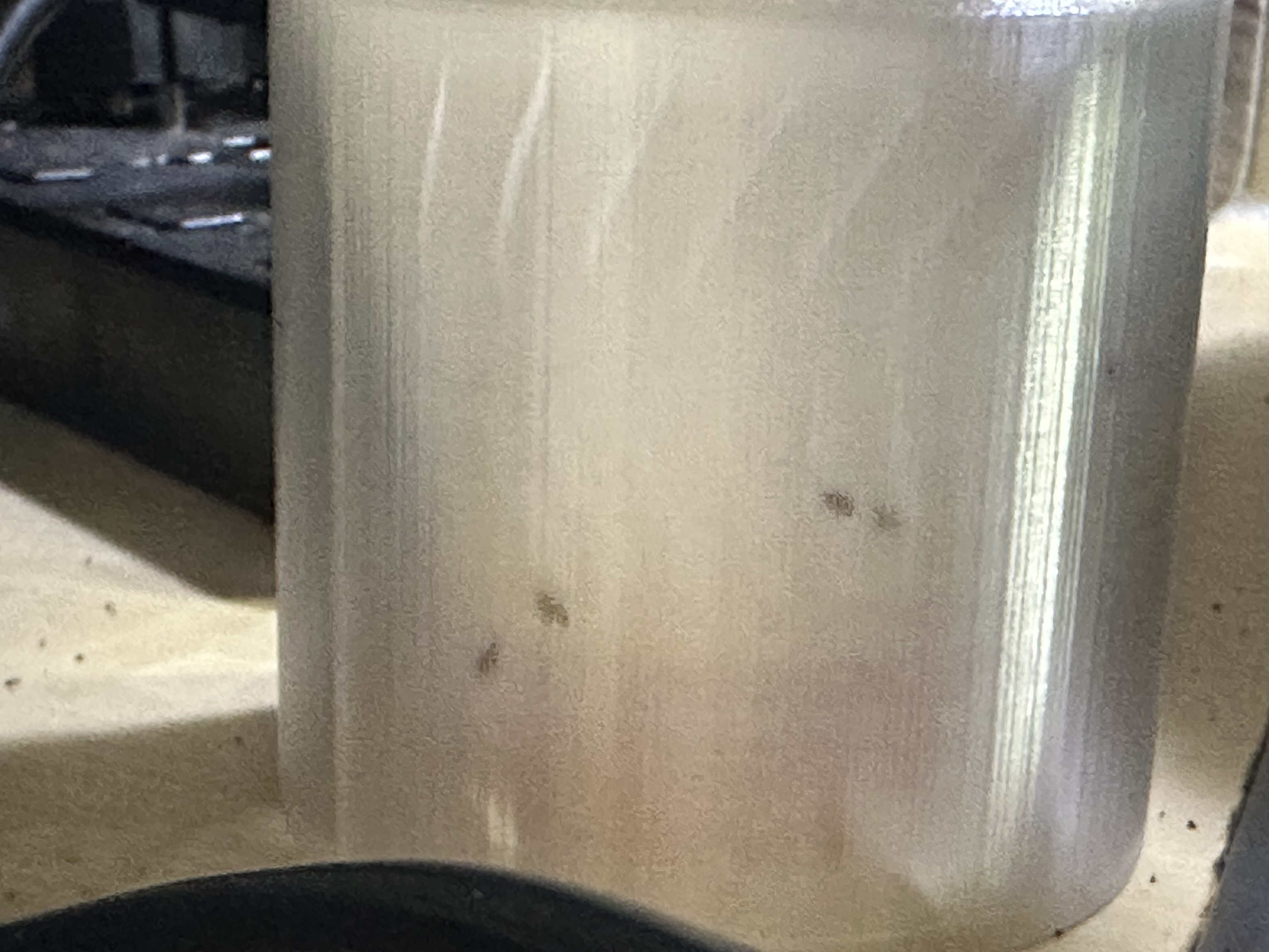 Miniatura 9 do modelo 3D Efficient Fruit Fly Trap with Transparent PLA Components