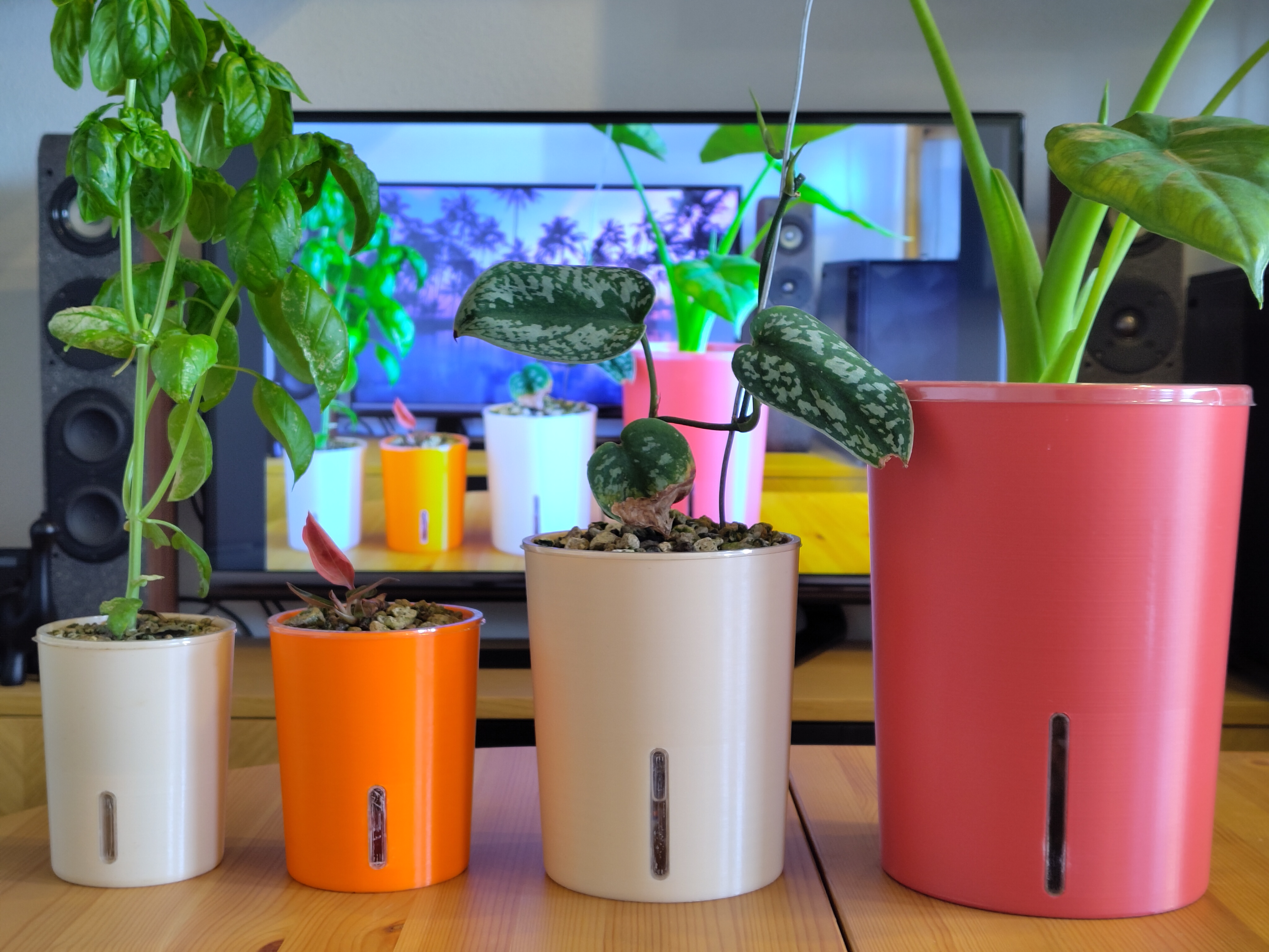 Self-Watering Planter (Semi-Hydro Pot) 3D model