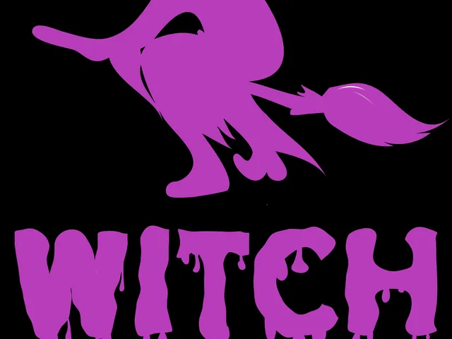 Halloween Witch Please Board