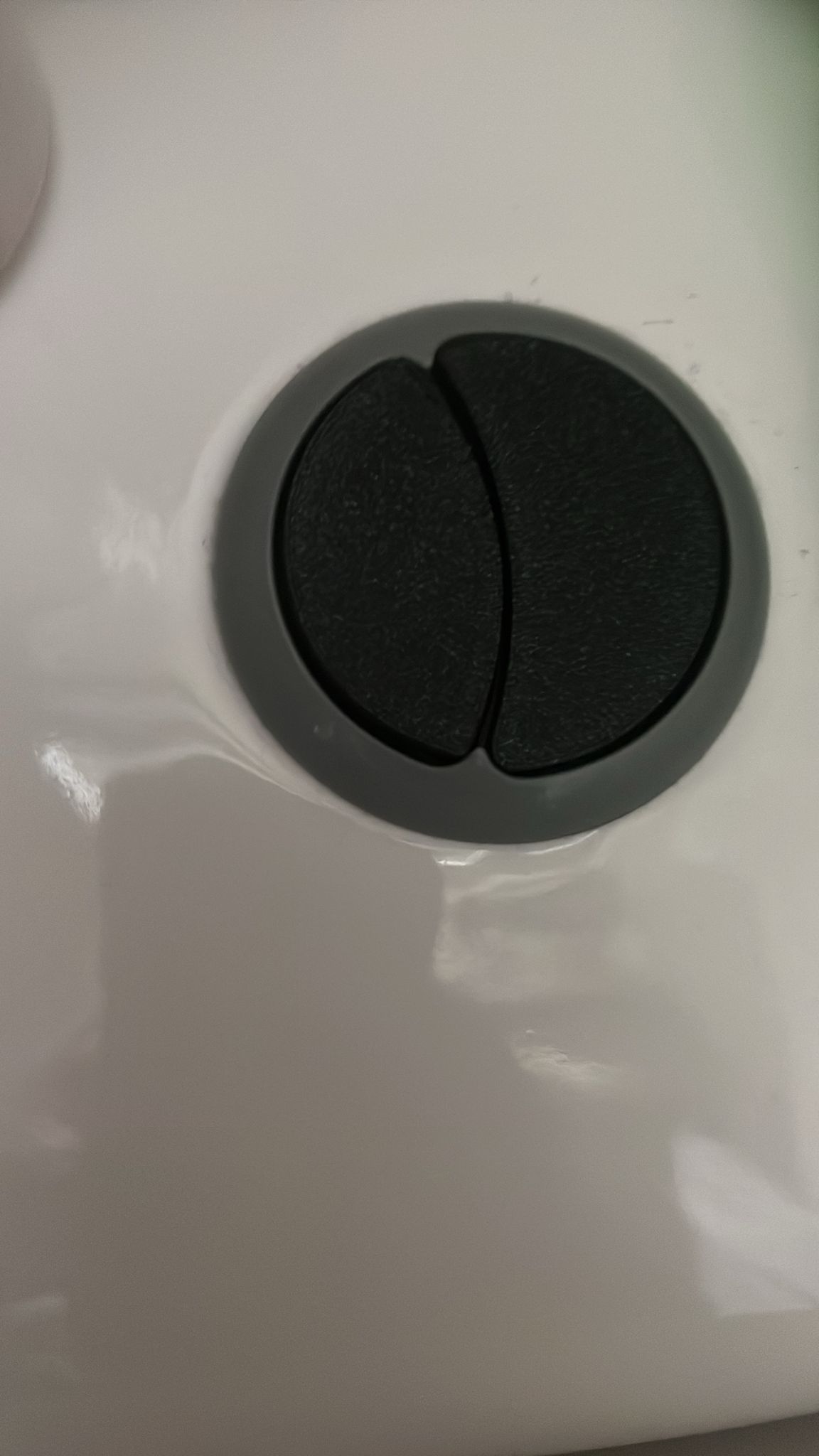 Toilet Button