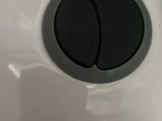 Toilet Button
