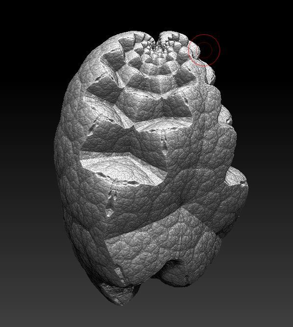 Jagnut 3d Fractal Artifact By Don Whitaker Download Free Stl Model