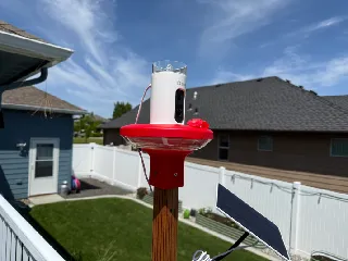 Birdfy Hummingbird Feeder 2x2 Pole Mount