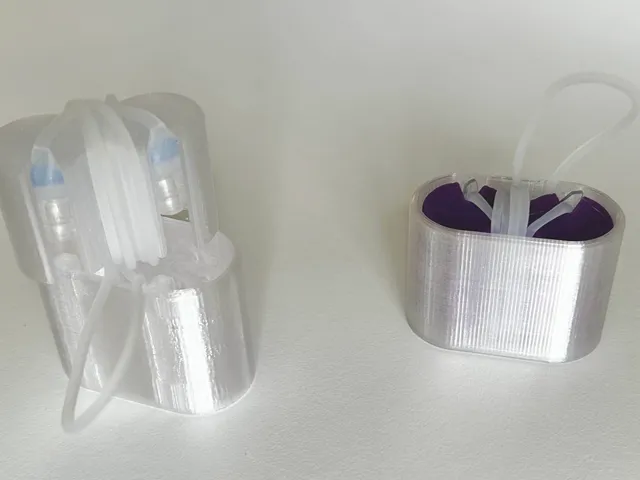 Eargrace earplug case