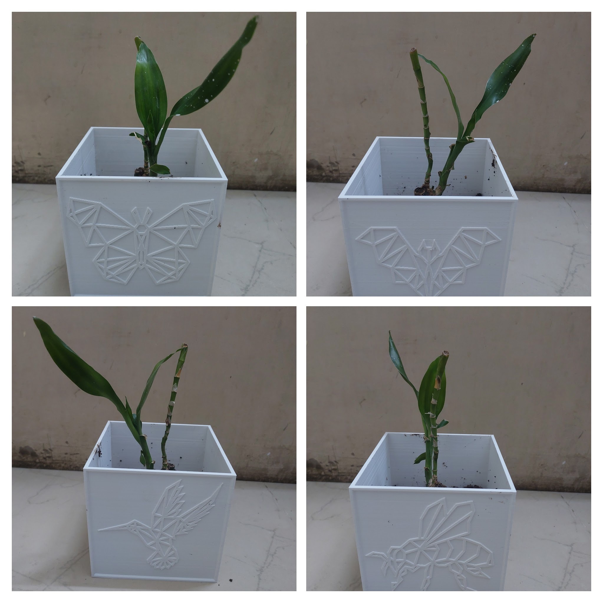 Miniatura 2 do modelo 3D Creature Haven Cube Planter