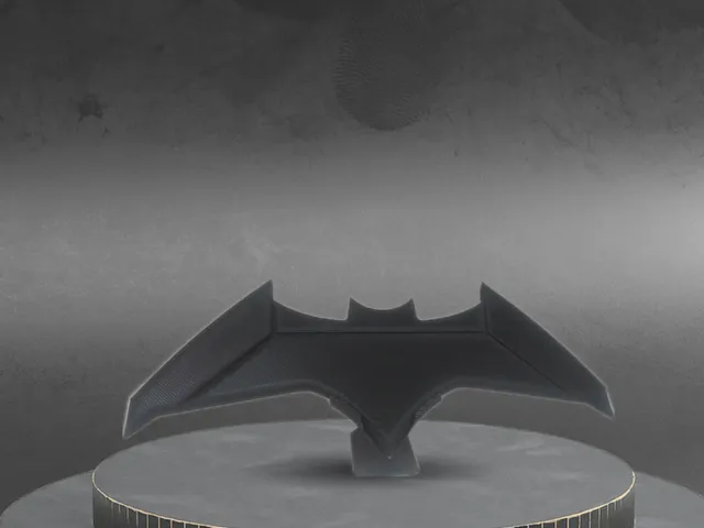 Batarang & Holder