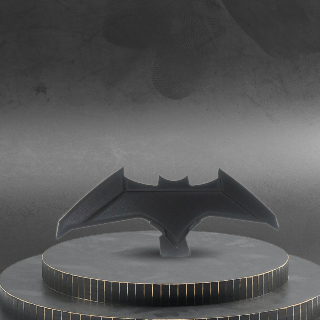 Batarang & Holder