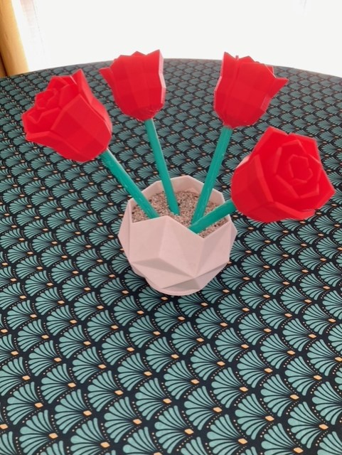 pot + roses