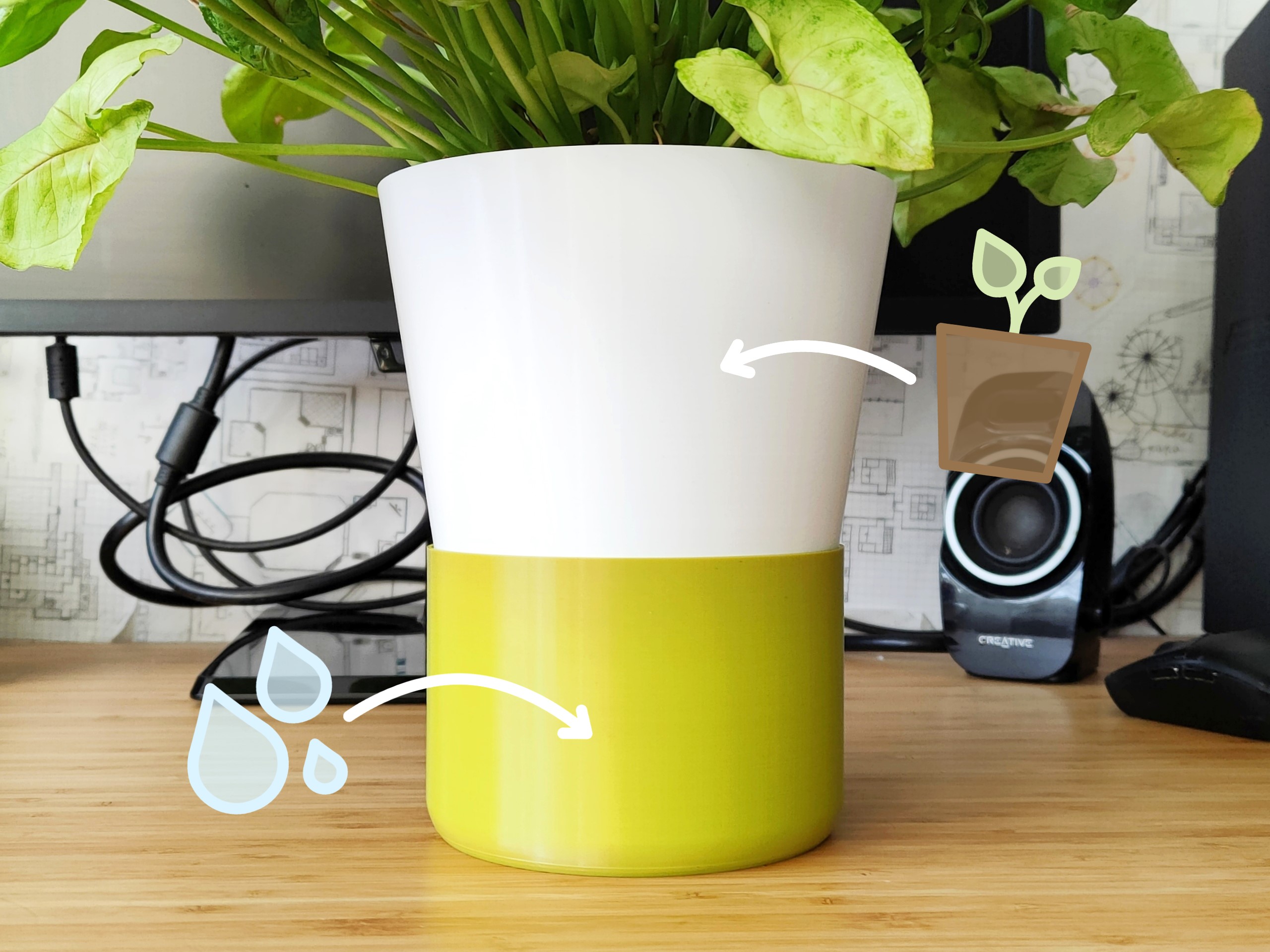 Modern Self Watering Planter for house plants - Selfwatering Pot