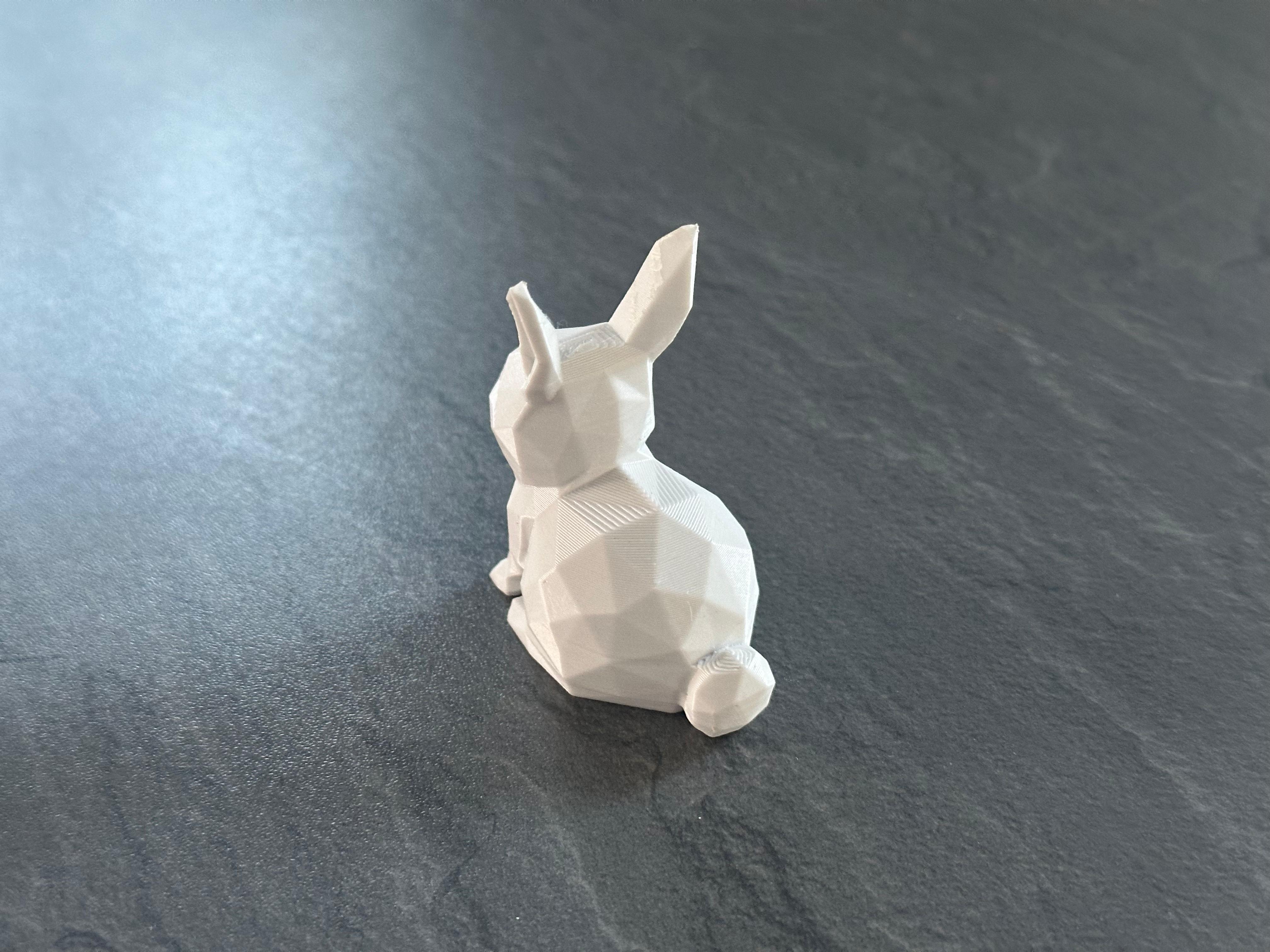 Miniatura 2 do modelo 3D Cute Low Poly Bunny