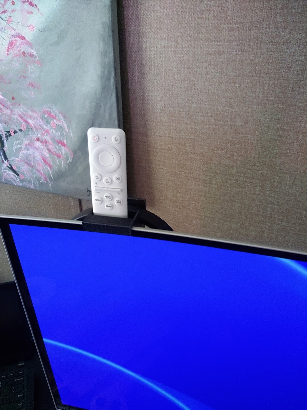 Remote Storage for Samsung 49"