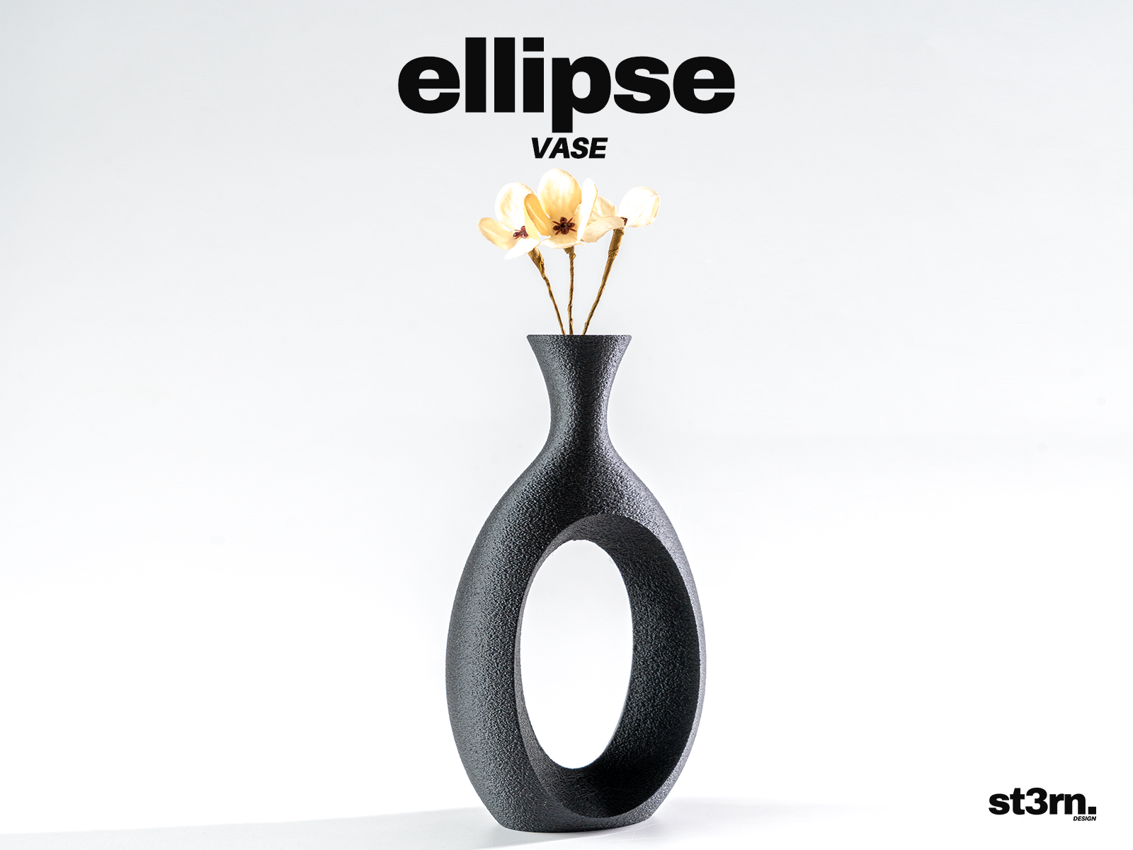 Ellipse ⬝ Vase
