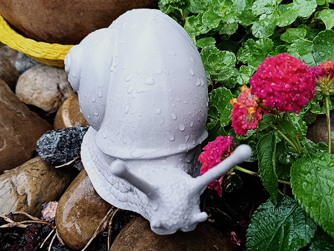 Explorer Snail