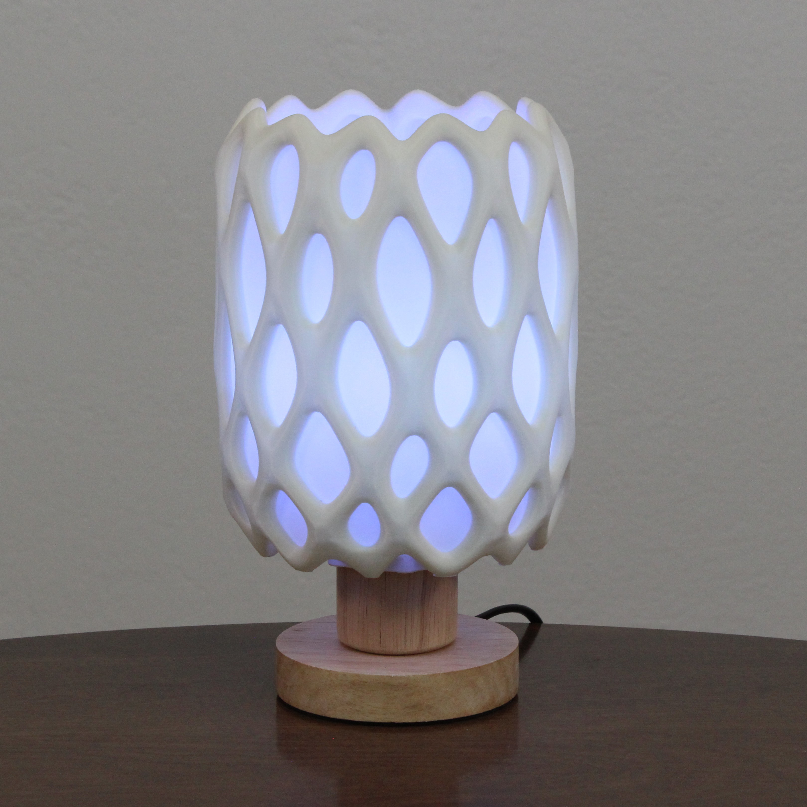 Cholla Cactus Lamp — miniatura 5