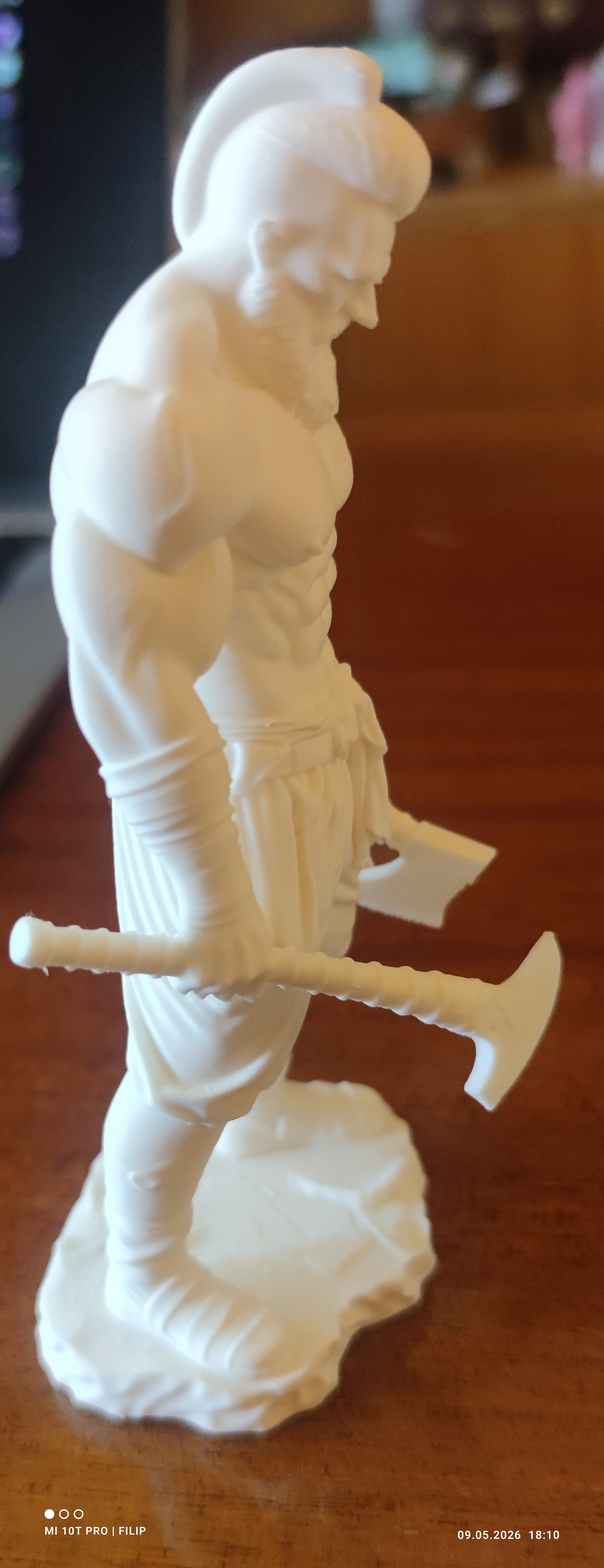 Viking warrior