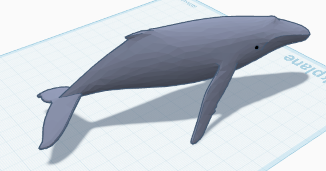 Orca Whale — thumbnail 2